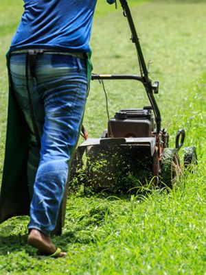 Jardín | Jardinería | Catalogo y Ofertas | Easy